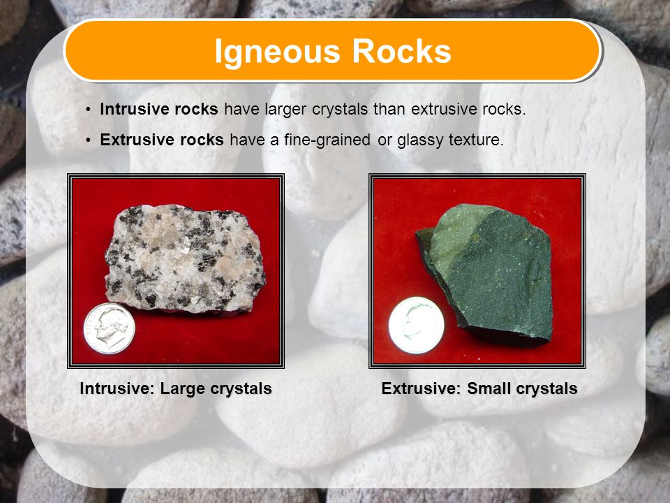 Igneous Rocks Intrusive rocks have larger crystals than extrusive rocks. Extrusive rocks have a fine-grained or glassy texture.