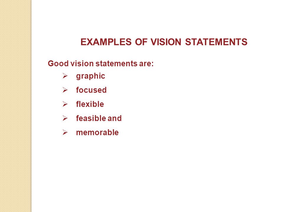 EXAMPLES OF VISION STATEMENTS