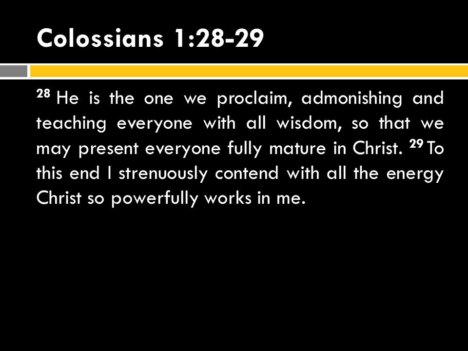 Colossians 1:28-29