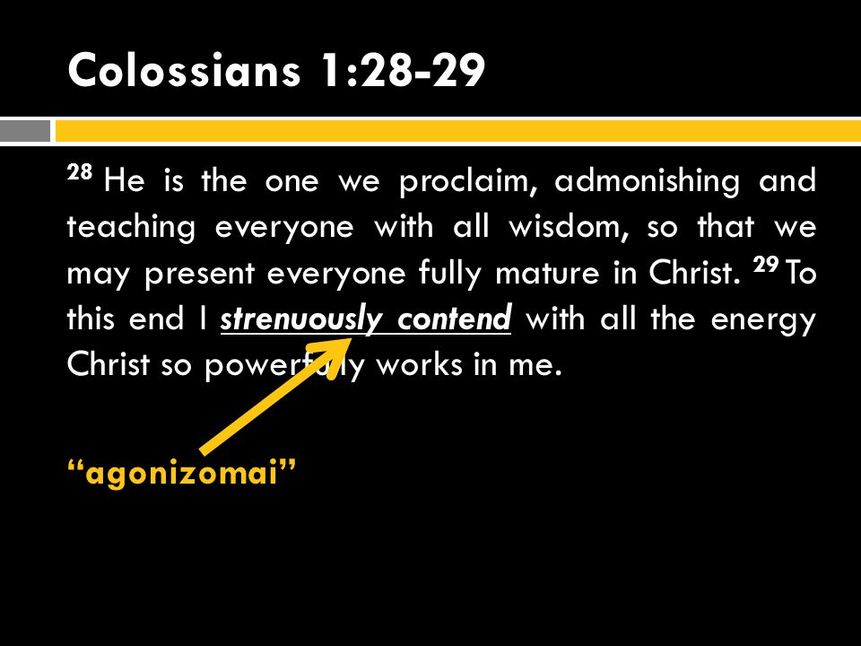 Colossians 1:28-29