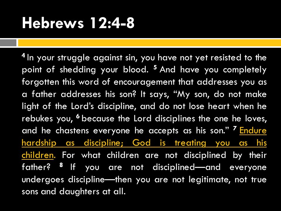 Hebrews 12:4-8