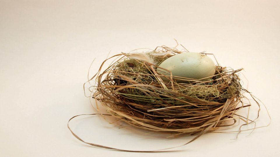 In the same way a nest is built in anticipation of a precious egg, our hearts are prepared in anticipation of receiving the treasure and promise of life.