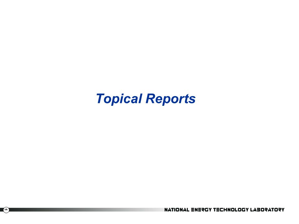 Topical Reports