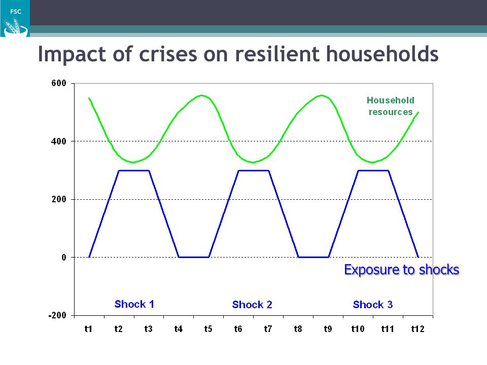 Impact of crises on resilient households