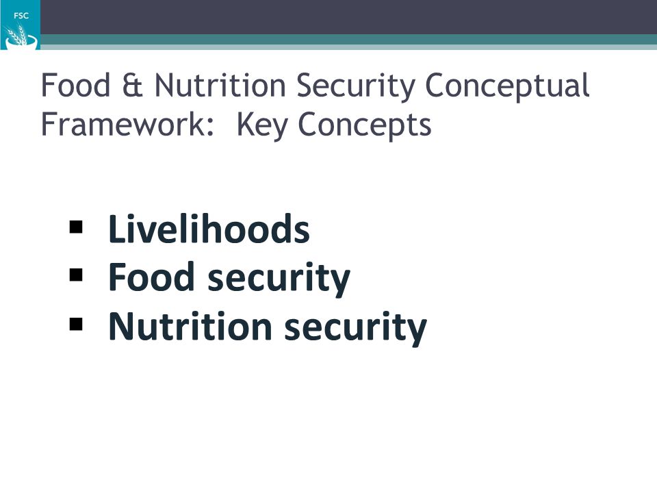 Food & Nutrition Security Conceptual Framework: Key Concepts