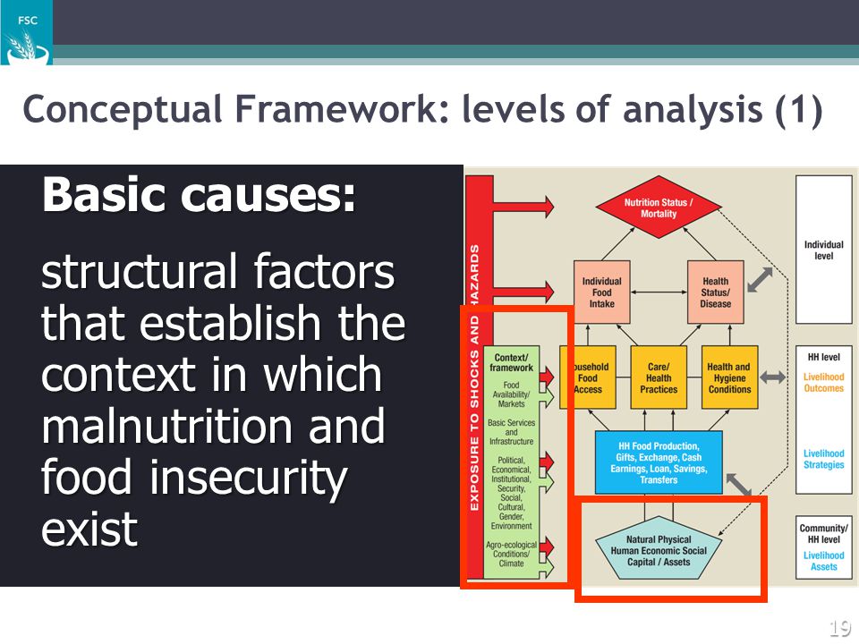 Conceptual Framework: levels of analysis (1)