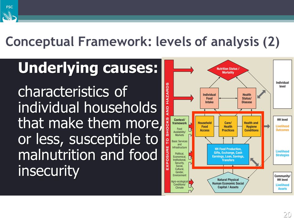 Conceptual Framework: levels of analysis (2)