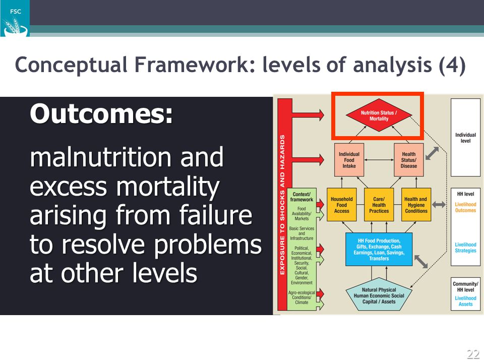 Conceptual Framework: levels of analysis (4)