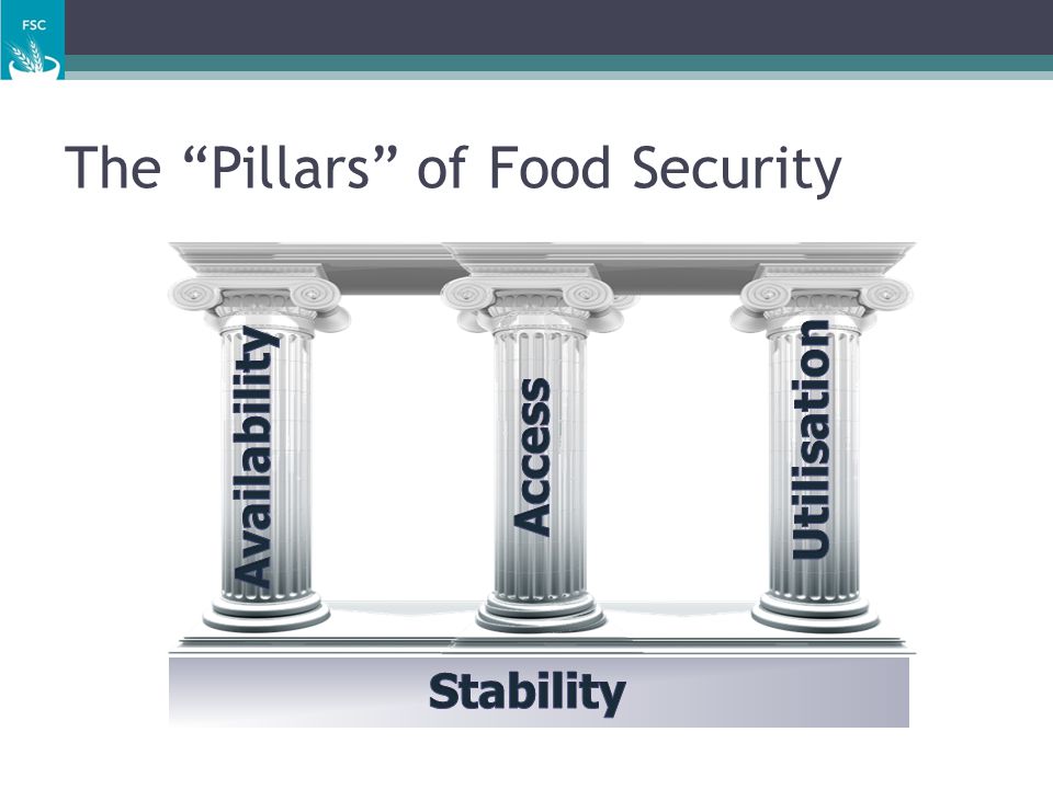 The Pillars of Food Security