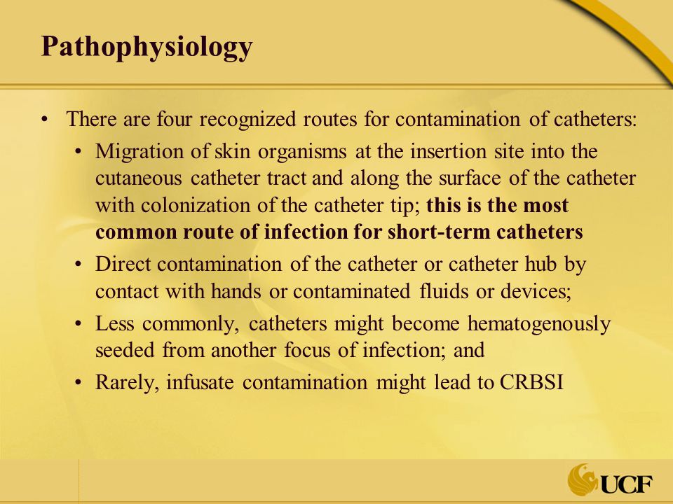Pathophysiology There are four recognized routes for contamination of catheters: