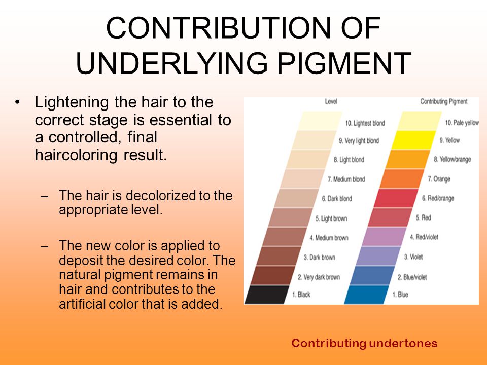 Underlying Pigment Chart Hair Color
