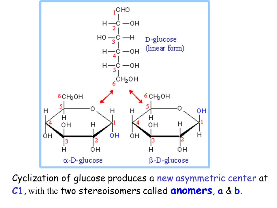 Cyclization of glucose produces a new asymmetric center at C1, with the two...