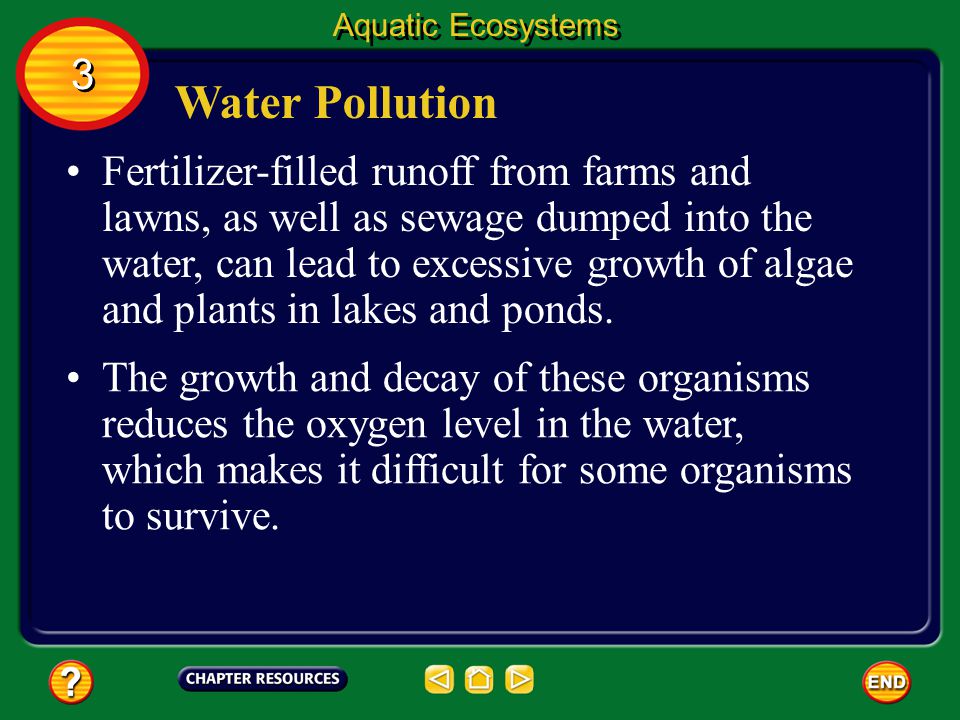 Aquatic Ecosystems 3. Water Pollution.