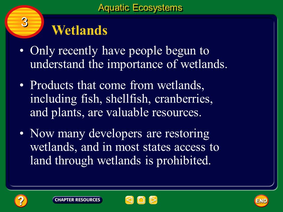 Aquatic Ecosystems 3. Wetlands. Only recently have people begun to understand the importance of wetlands.