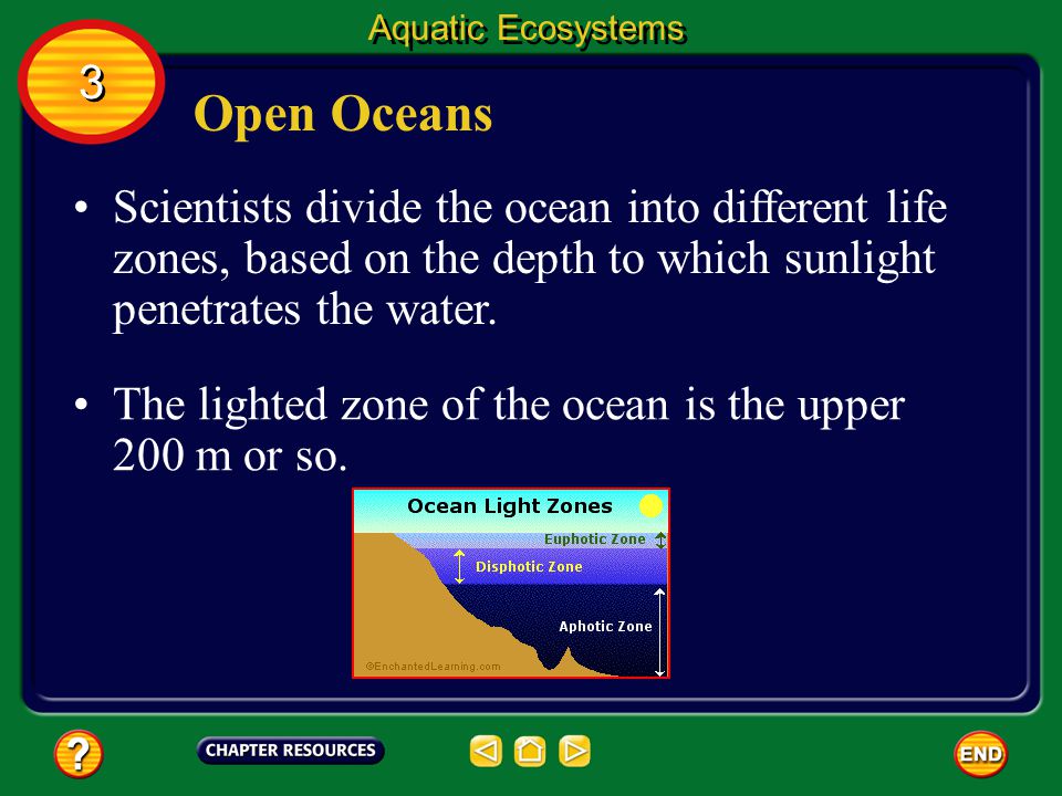 Aquatic Ecosystems 3. Open Oceans.