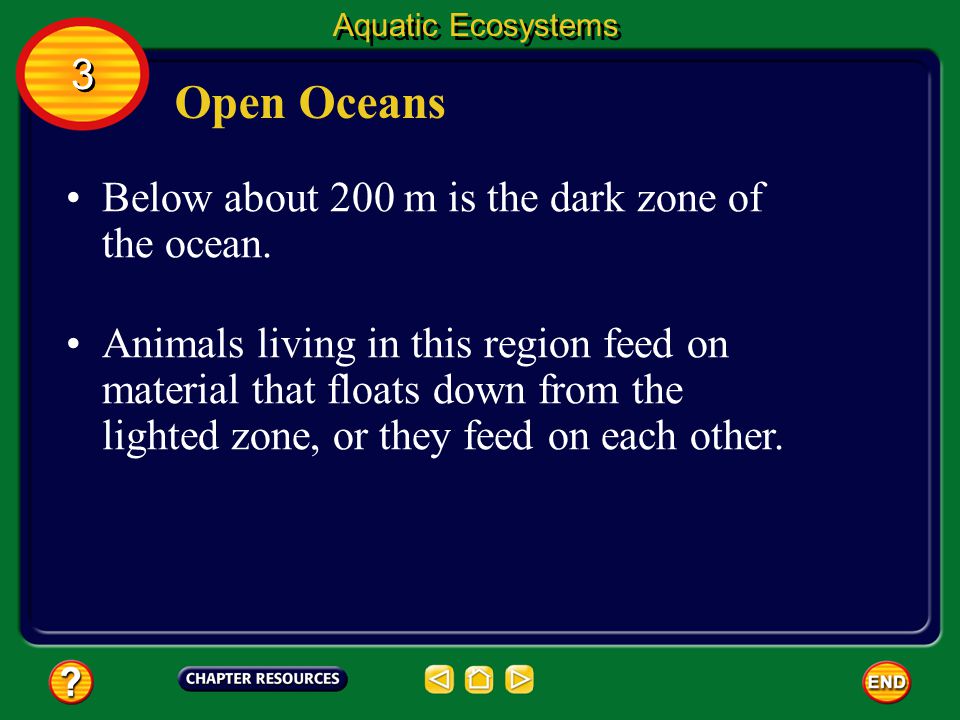 Open Oceans 3 Below about 200 m is the dark zone of the ocean.