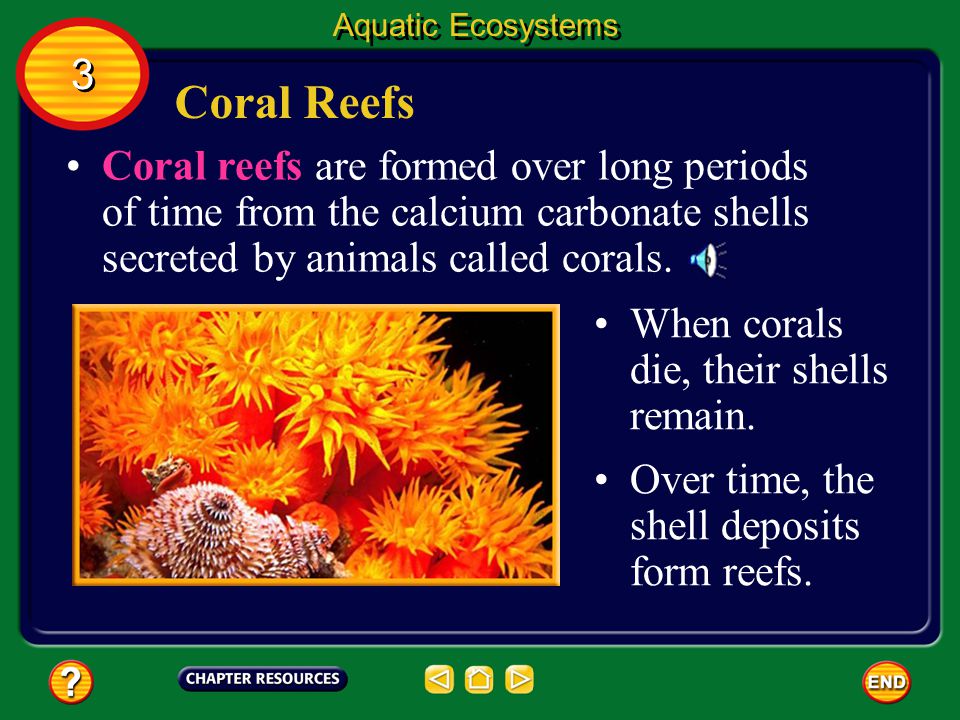 Aquatic Ecosystems 3. Coral Reefs.