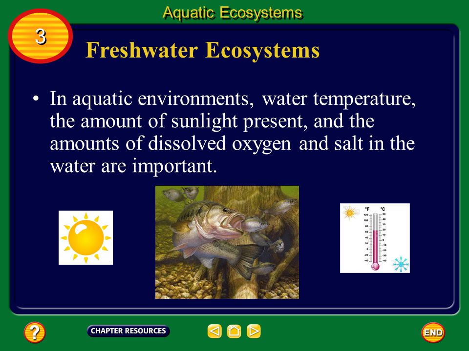 Freshwater Ecosystems