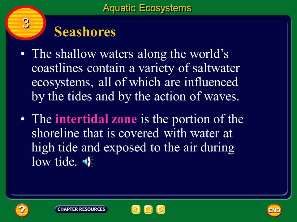 Aquatic Ecosystems 3. Seashores.