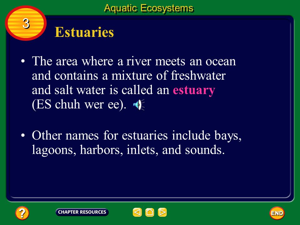 Aquatic Ecosystems 3. Estuaries.