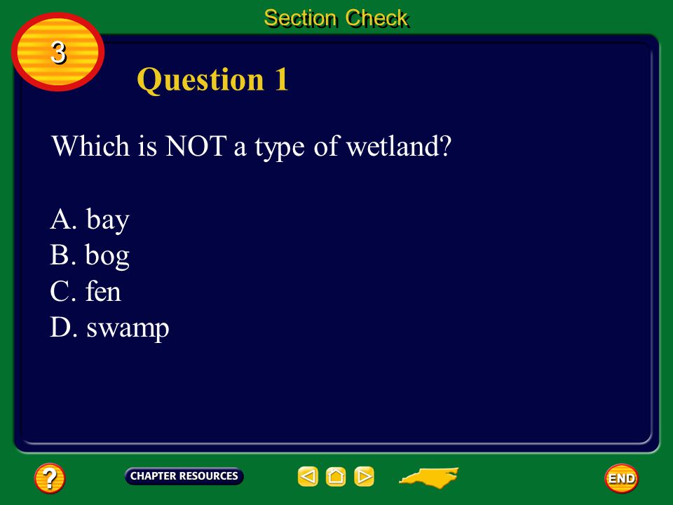 Question 1 3 Which is NOT a type of wetland A. bay B. bog C. fen