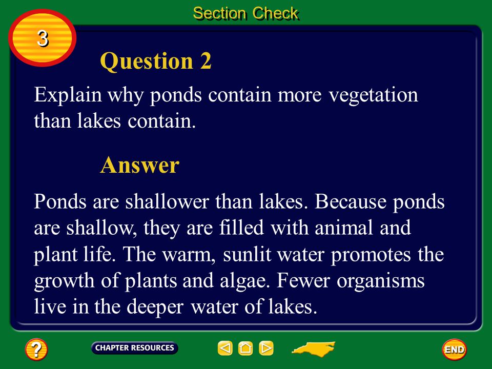 Section Check 3. Question 2. Explain why ponds contain more vegetation than lakes contain. Answer.