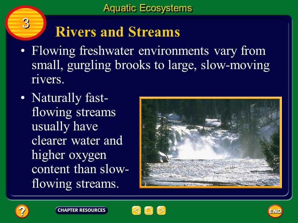 Aquatic Ecosystems 3. Rivers and Streams. Flowing freshwater environments vary from small, gurgling brooks to large, slow-moving rivers.
