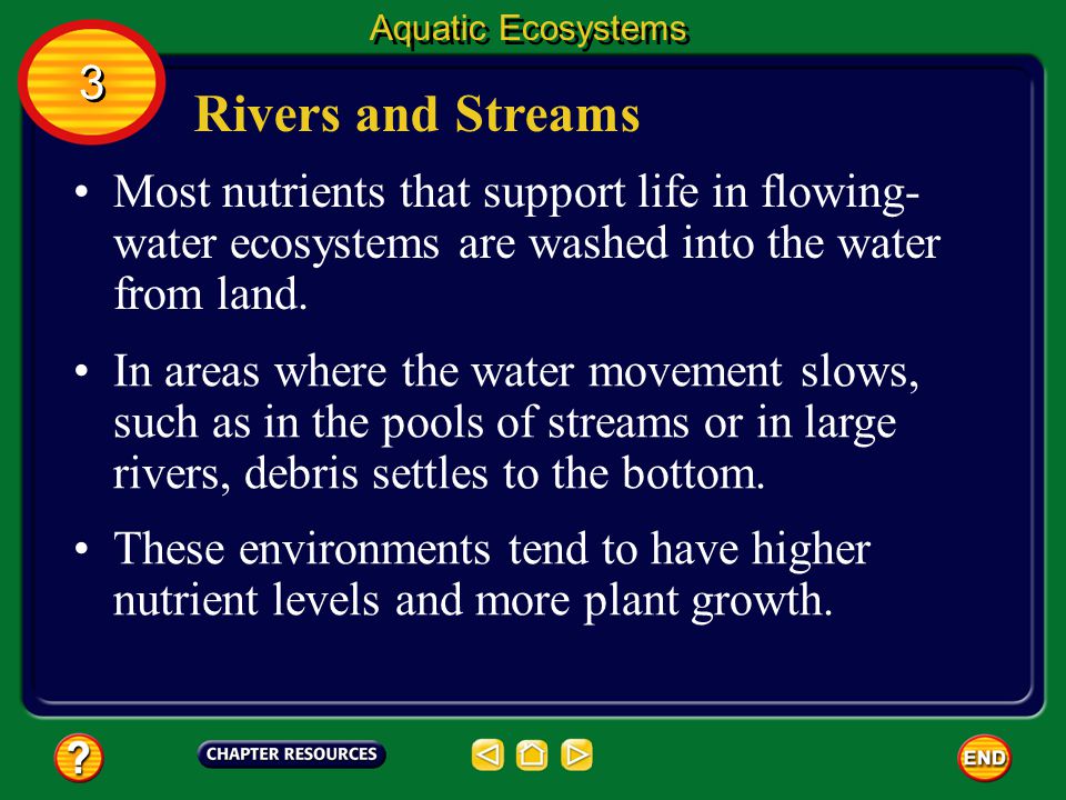 Aquatic Ecosystems 3. Rivers and Streams. Most nutrients that support life in flowing-water ecosystems are washed into the water from land.