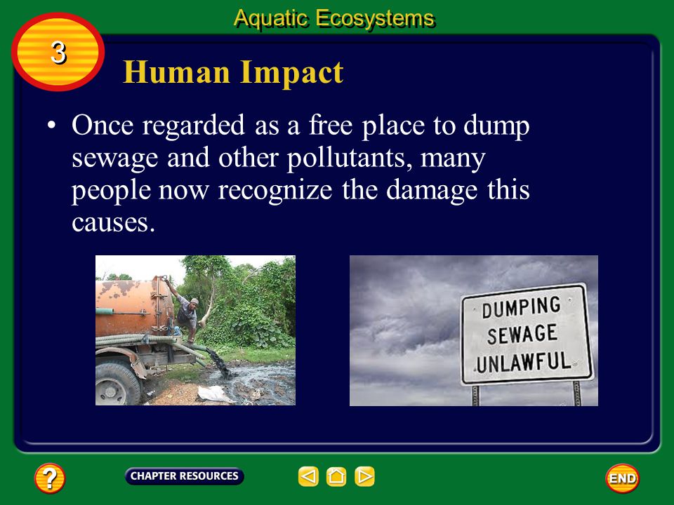 Aquatic Ecosystems 3. Human Impact.