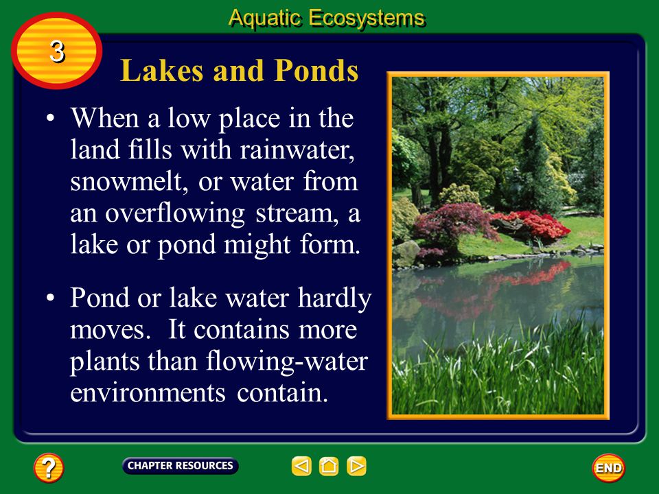 Aquatic Ecosystems 3. Lakes and Ponds.