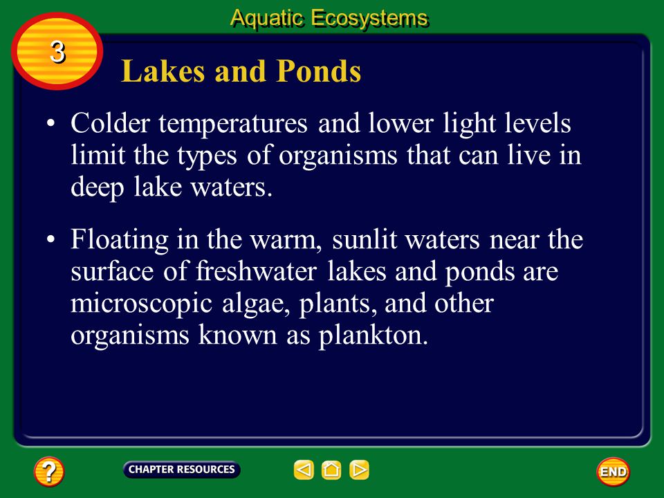 Aquatic Ecosystems 3. Lakes and Ponds. Colder temperatures and lower light levels limit the types of organisms that can live in deep lake waters.
