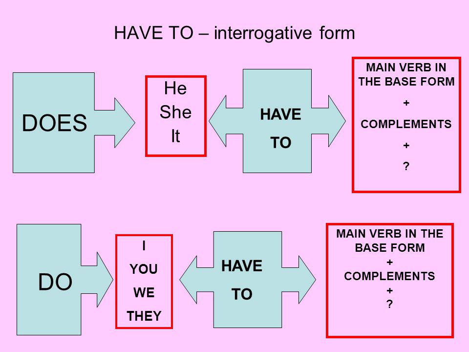 HAVE TO – interrogative form