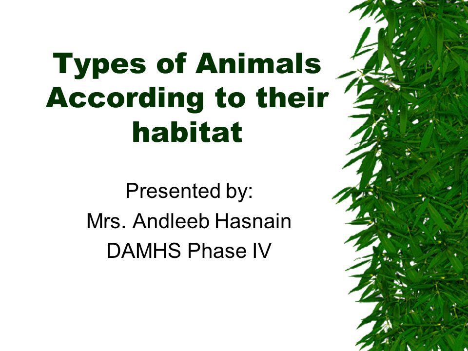 Tell why different animals live in different habitats. - ppt video online  download