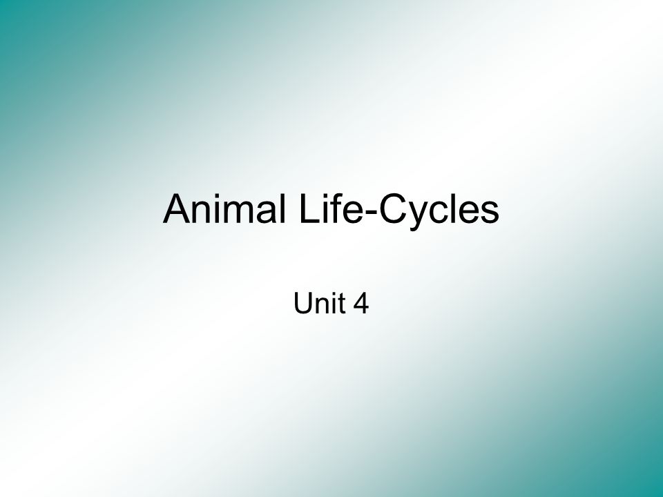 Animal Life-Cycles Unit 4
