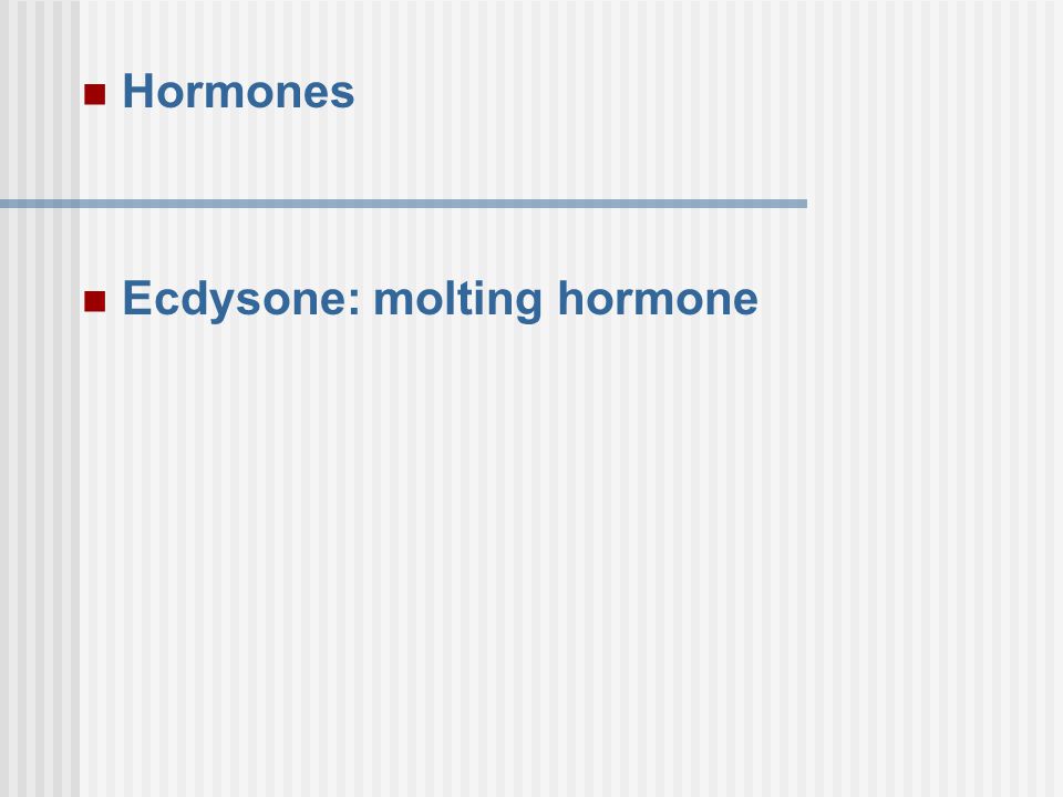 Ecdysone: molting hormone