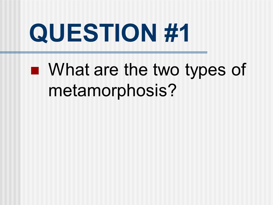 QUESTION #1 What are the two types of metamorphosis 15