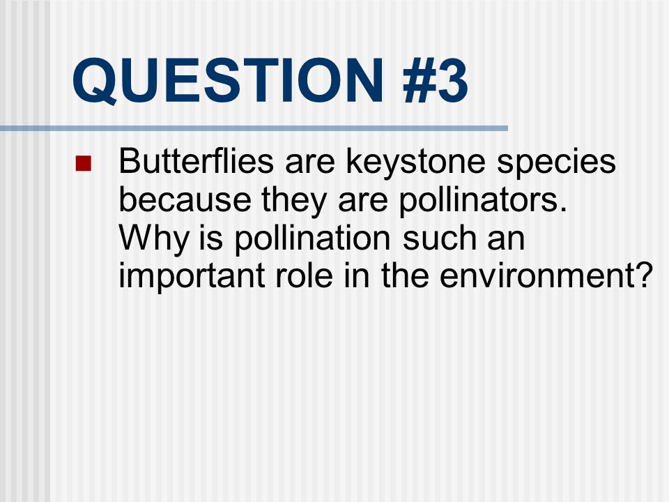 QUESTION #3 Butterflies are keystone species because they are pollinators. Why is pollination such an important role in the environment