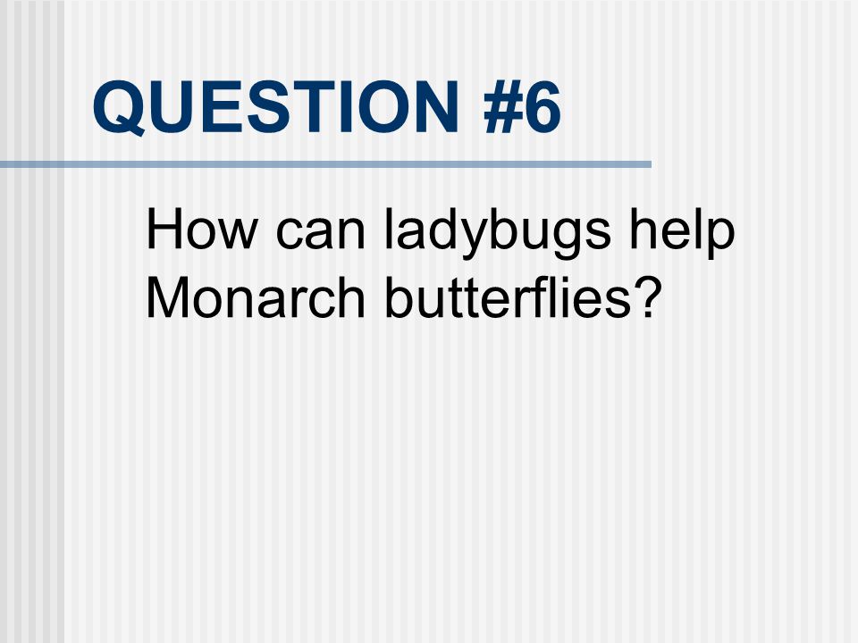 QUESTION #6 How can ladybugs help Monarch butterflies 20