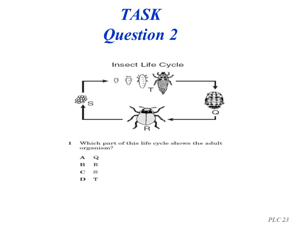 TASK Question 2 PLC 23