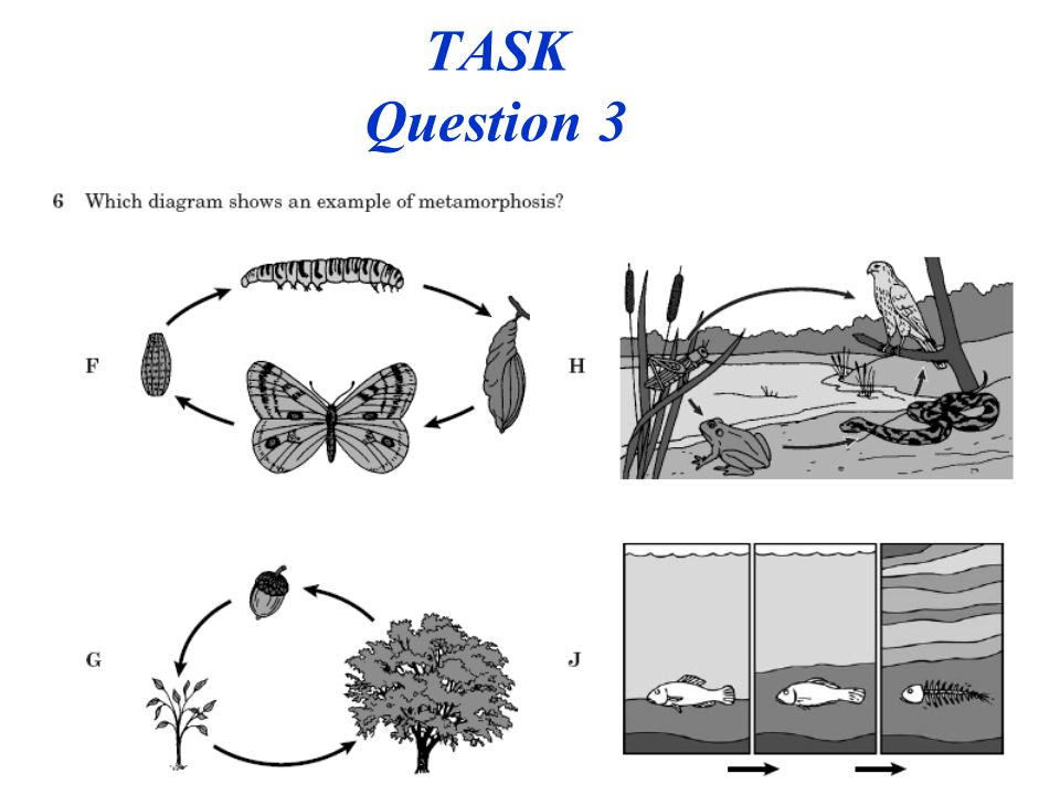 TASK Question 3 PLC 23