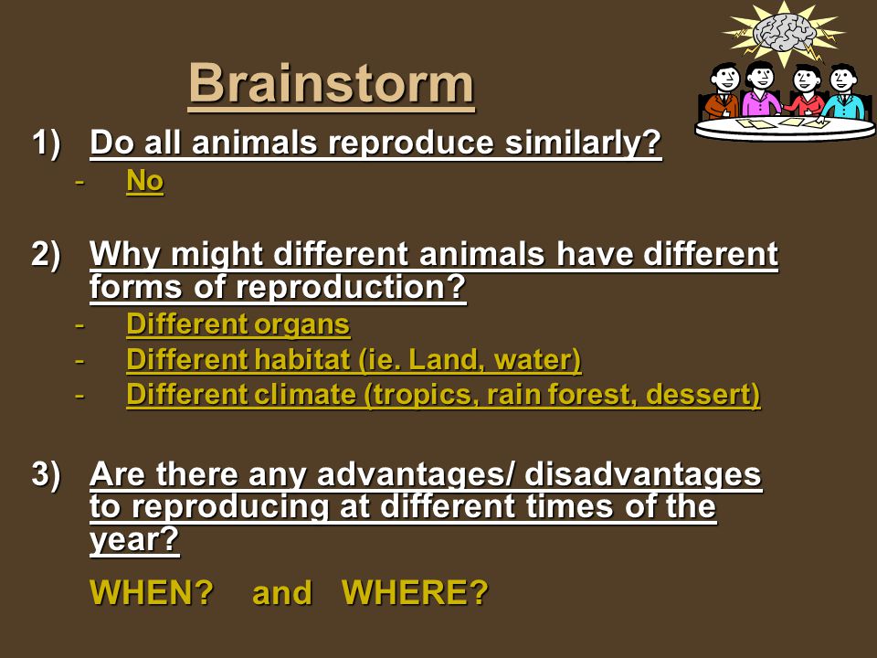 Reproduction in Animals - ppt download