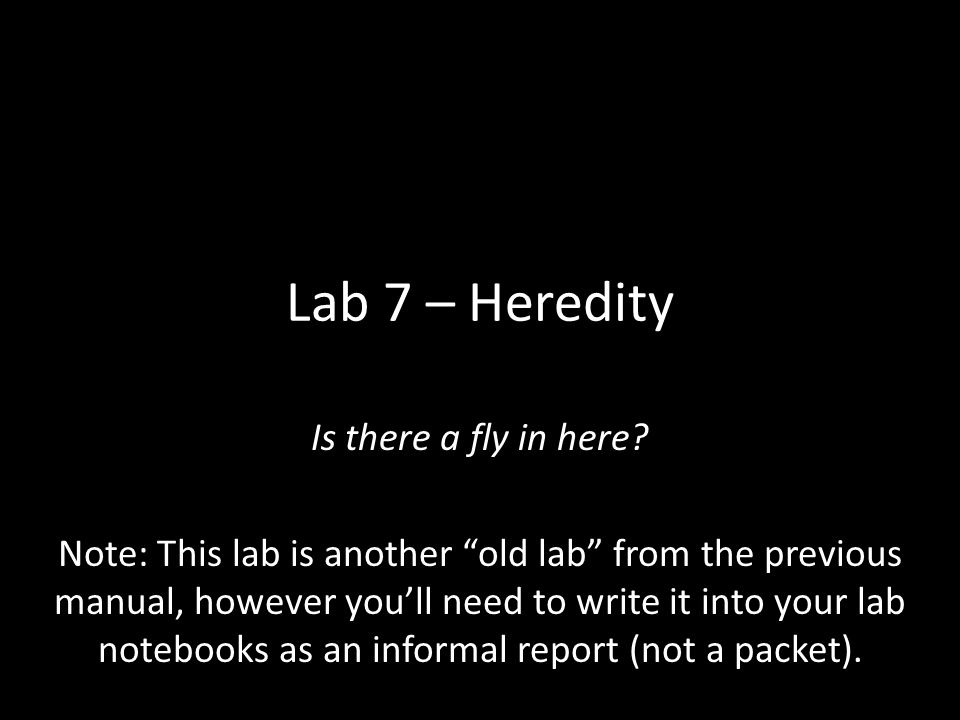 Lab 7 – Heredity Is there a fly in here