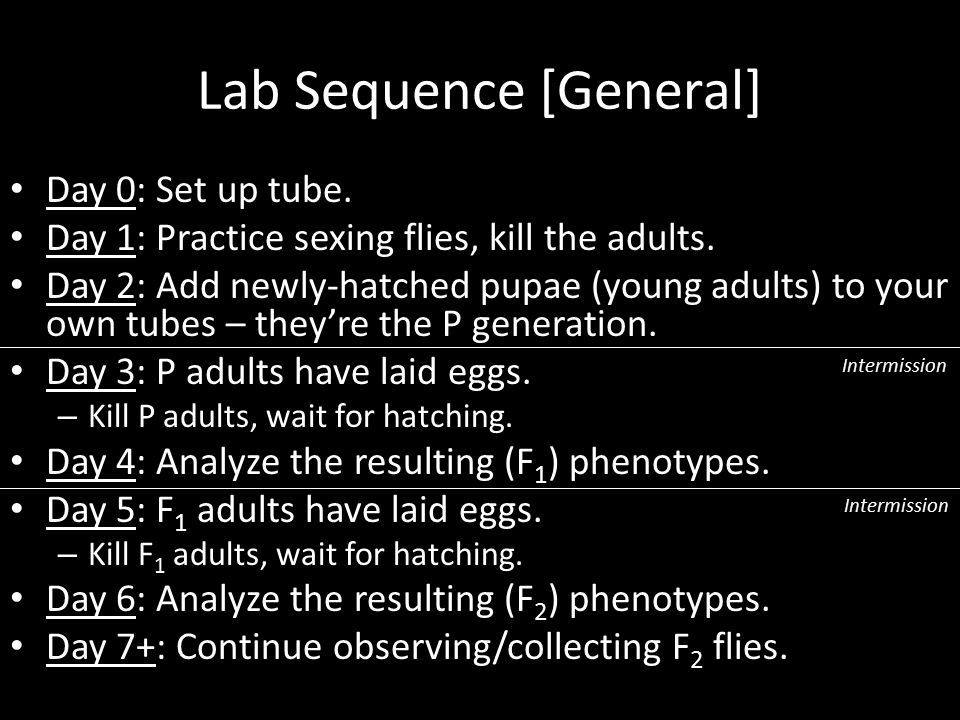 Lab Sequence [General]