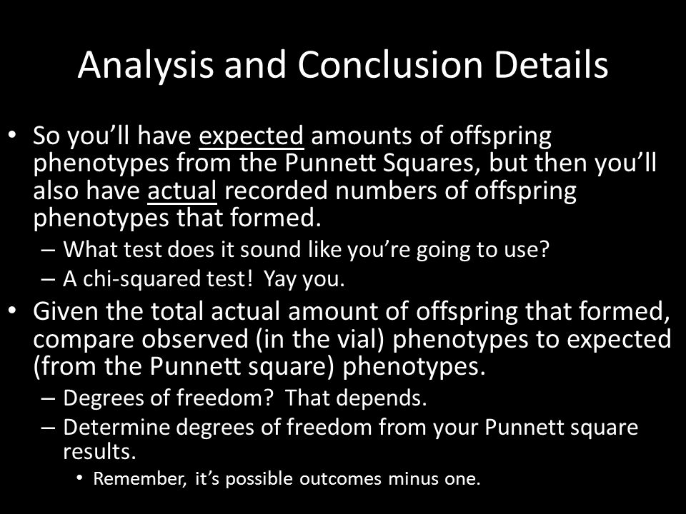 Analysis and Conclusion Details