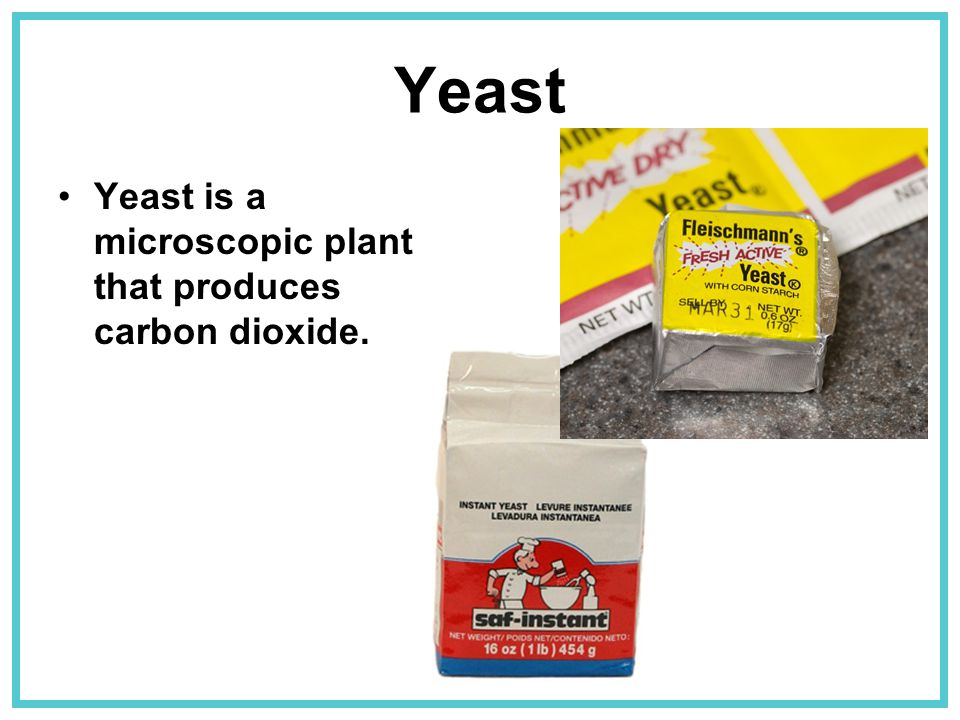 Yeast Yeast is a microscopic plant that produces carbon dioxide.