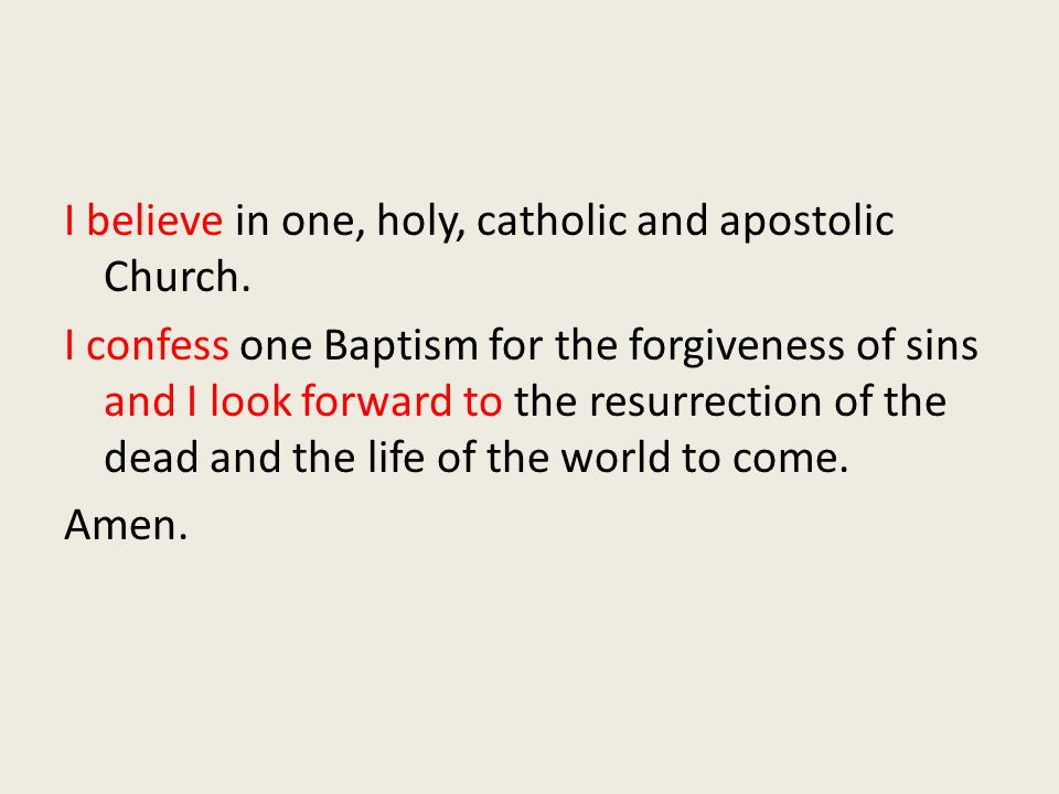 I believe in one, holy, catholic and apostolic Church