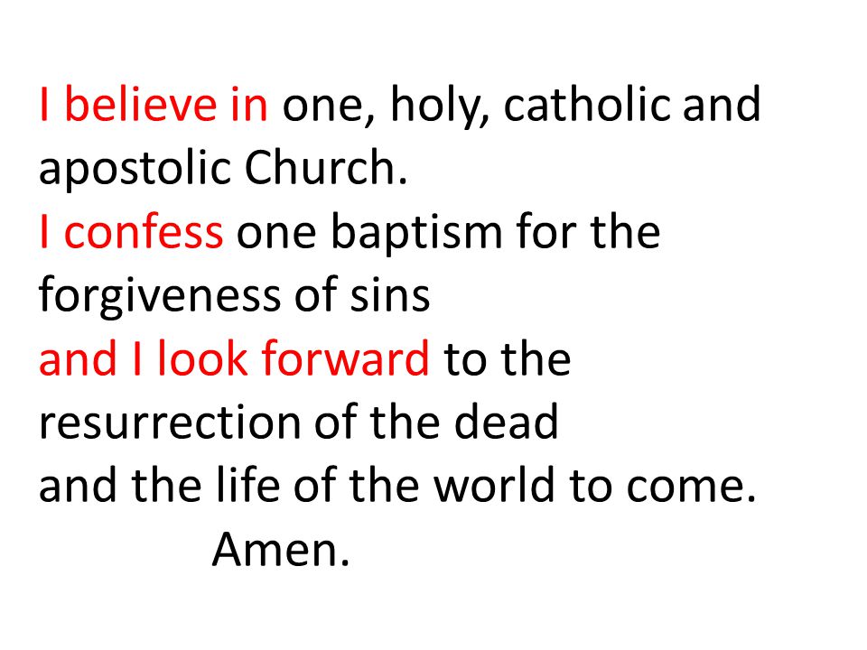 I believe in one, holy, catholic and. apostolic Church
