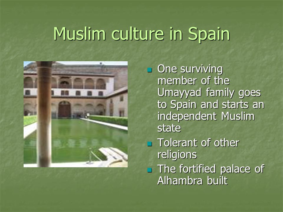 Muslim culture in Spain