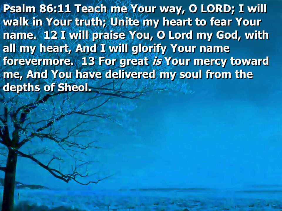 Psalm 86:11 Teach me Your way, O LORD; I will walk in Your truth; Unite my heart to fear Your name.