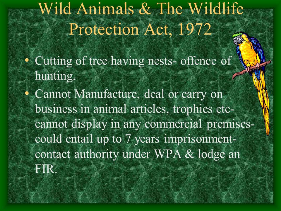 ANIMALS & THE LAW APARNA RAJAGOPAL. - ppt video online download